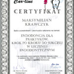 Endodoncja dla praktyków